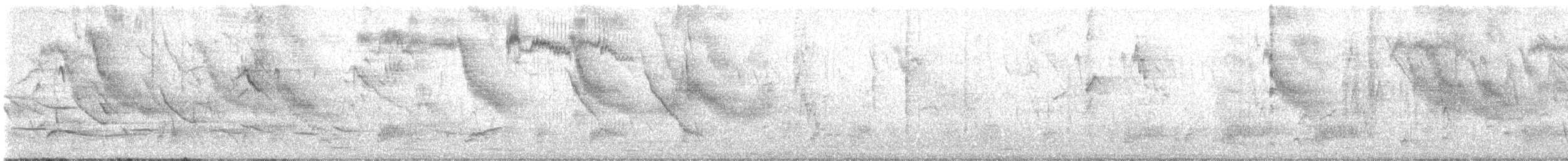 špaček černý - ML628043633