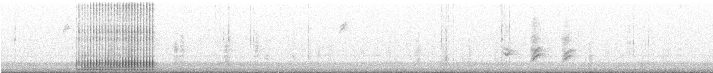 Arizona Woodpecker - ML628045796