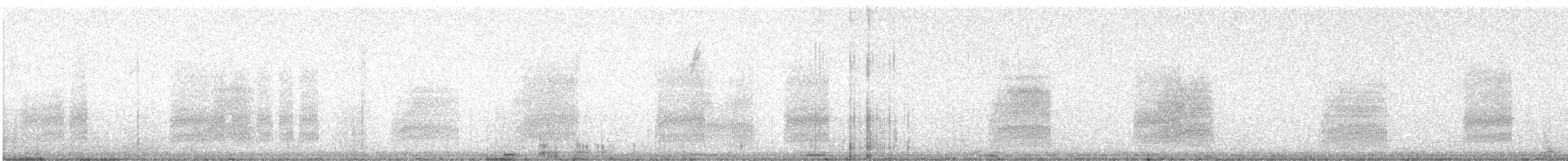 Troglodyte de Bewick - ML628049835