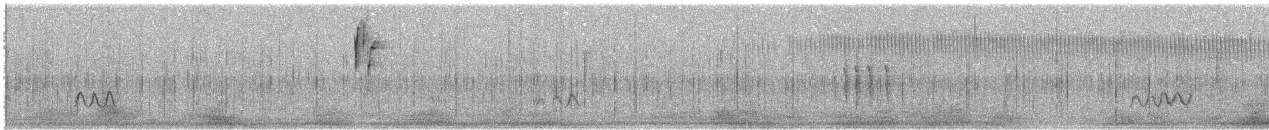 Colibri nain - ML628059062