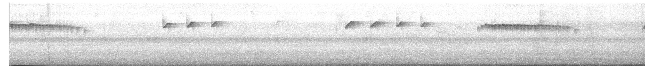 Grayish Piculet - ML628060338