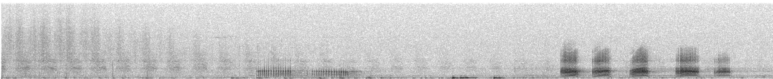 raven sp. - ML628064977