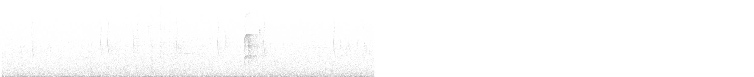 Arizona Woodpecker - ML628067306