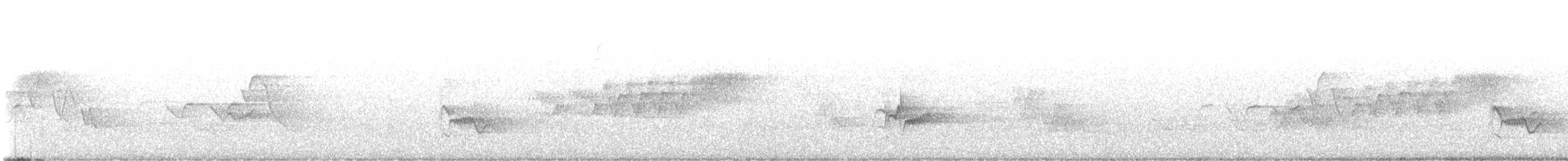 asurparula - ML628072527