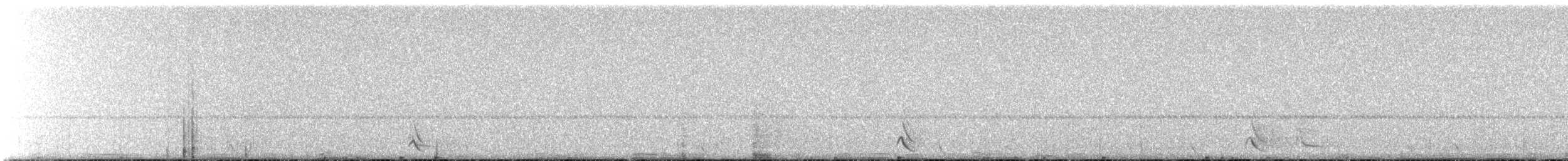 Australian Owlet-nightjar - ML62807341
