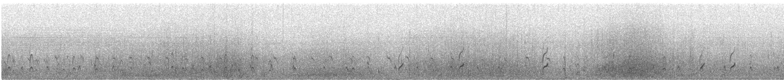 Malaysian Plover - ML628073515