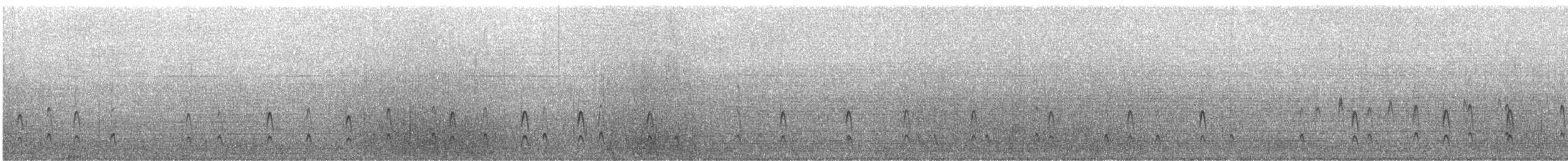 Malaysian Plover - ML628073517