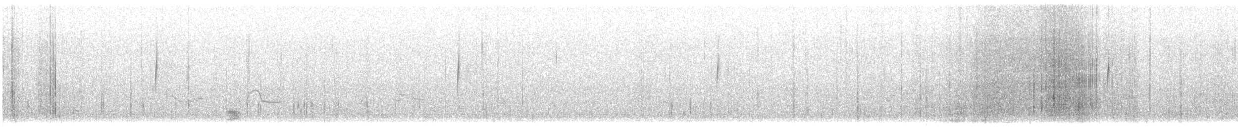 Gray-flanked Cinclodes - ML628073747