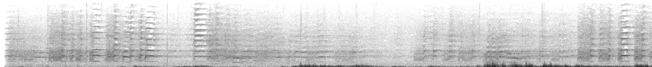 Black Currawong - ML628094058