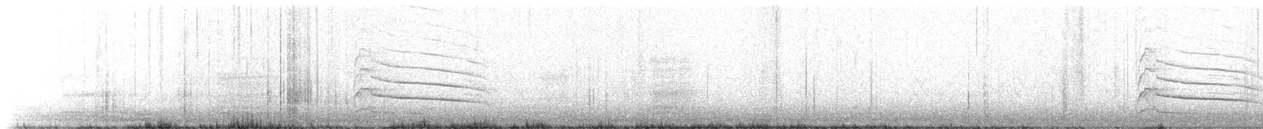 rapace sp. - ML628094666