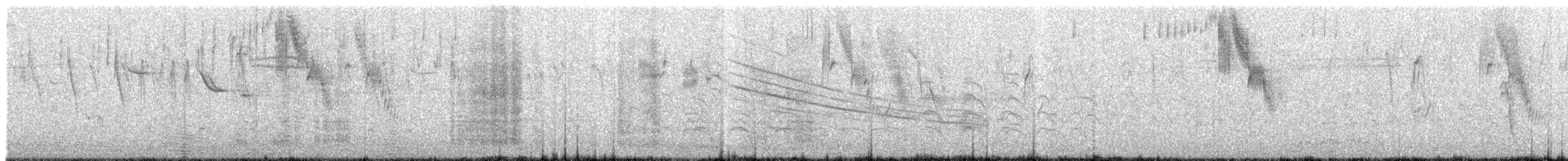 Sturnelle à sourcils blancs - ML628099466