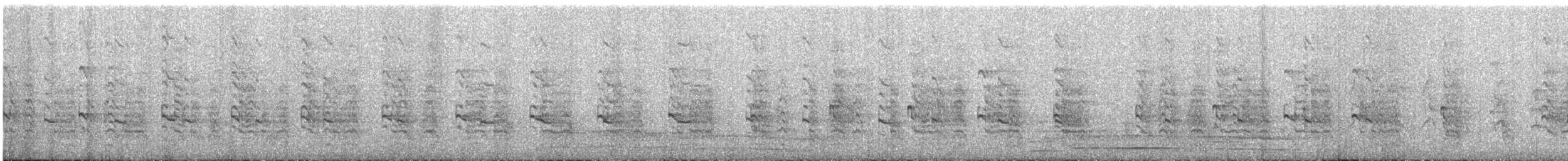 Râle à collier - ML628102977