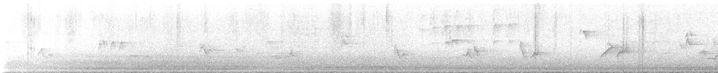 zelenáček červenooký - ML628105544