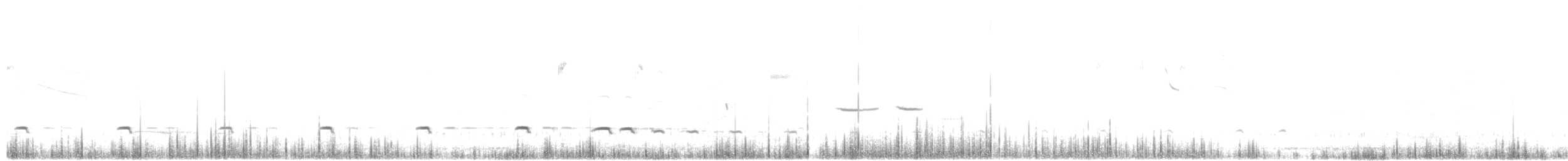 Spotted Nothura - ML628109903