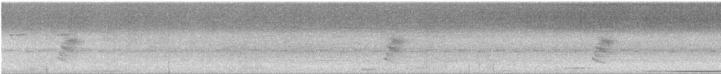 wren sp. - ML628110261