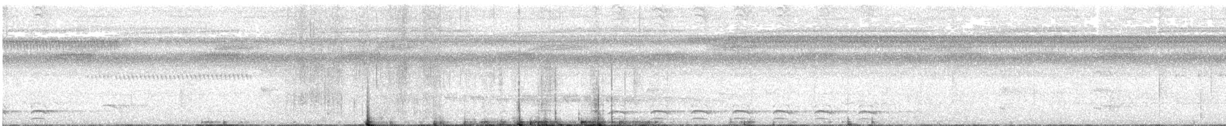 White-shouldered Antshrike - ML628112853