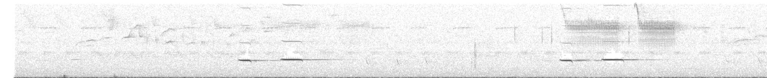 Striped Cuckoo - ML628113189