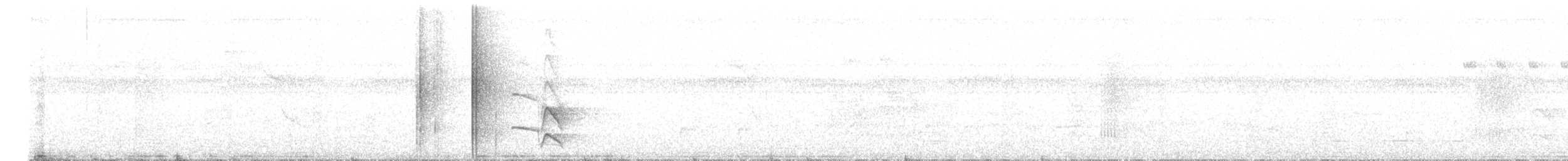 White-bearded Manakin - ML628116252