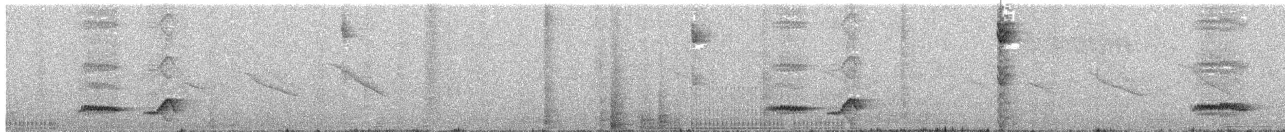 Tropical Mockingbird - ML628116525