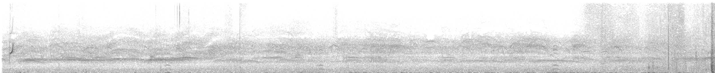 Double-banded Plover - ML628121911