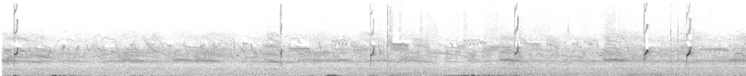 Double-banded Plover - ML628121950