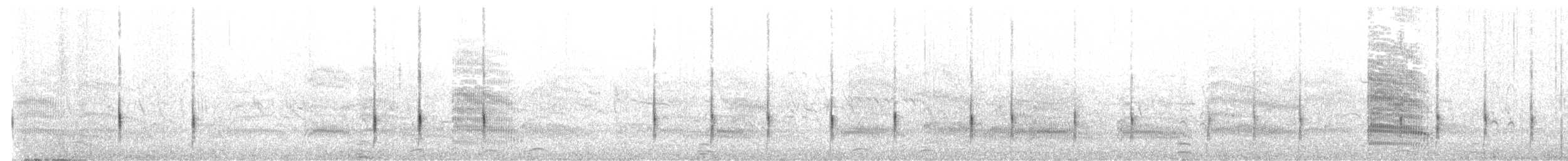 Double-banded Plover - ML628122005