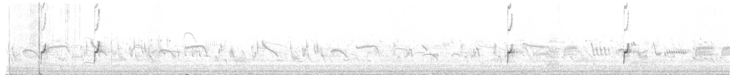 Double-banded Plover - ML628122054