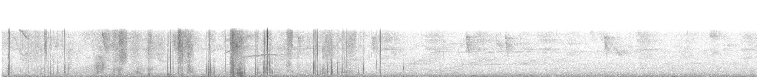 Bay-breasted/Blackpoll Warbler - ML628130782