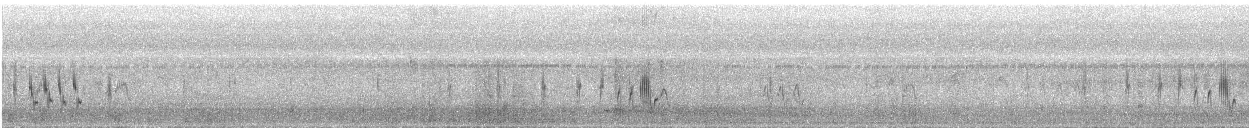 Striated Grassbird - ML628135566