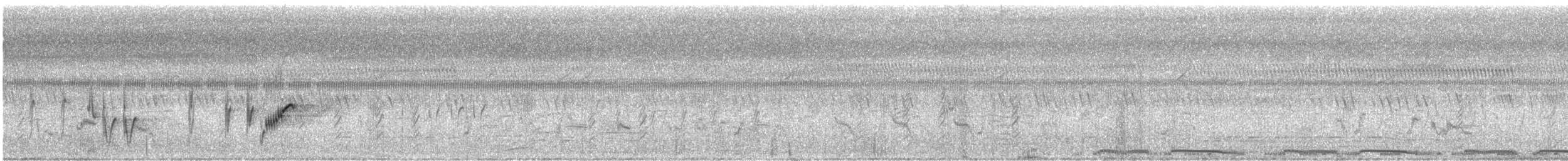 Striated Grassbird - ML628135568