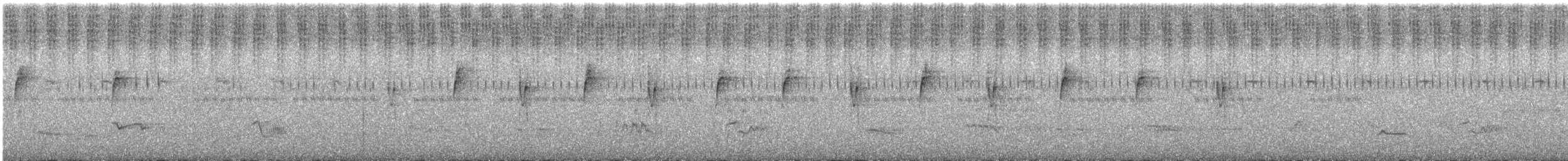 White-vented Violetear - ML628136139