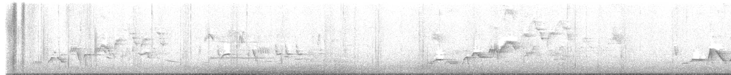 Swainson's Thrush - ML628137670