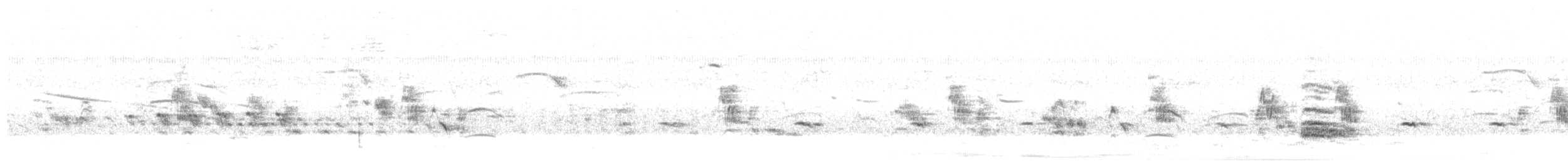 Spotted Nothura - ML628145666