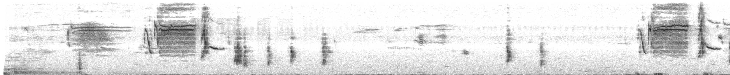 Sturnelle à sourcils blancs - ML628145696