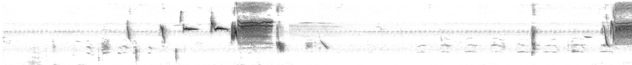 Sturnelle à sourcils blancs - ML628145697