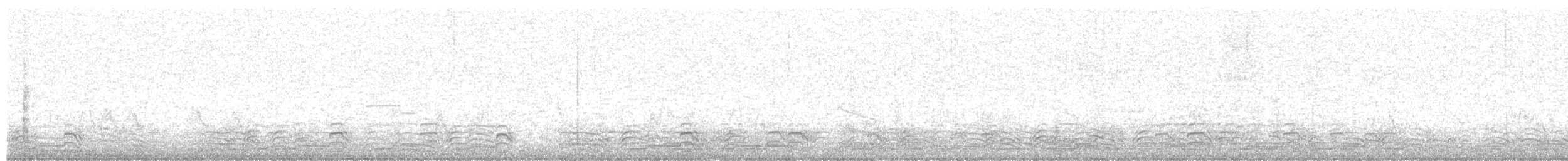 Long-tailed Duck - ML628152927