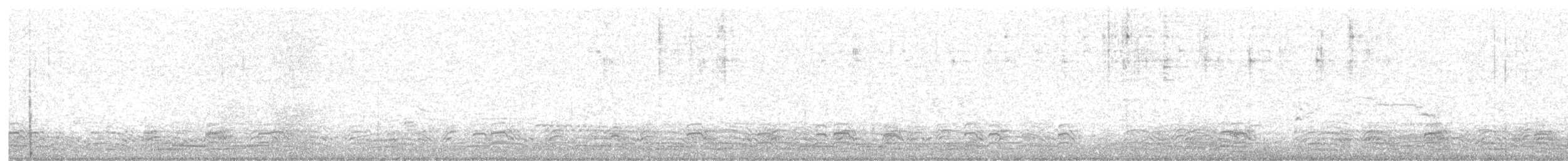 Long-tailed Duck - ML628152928