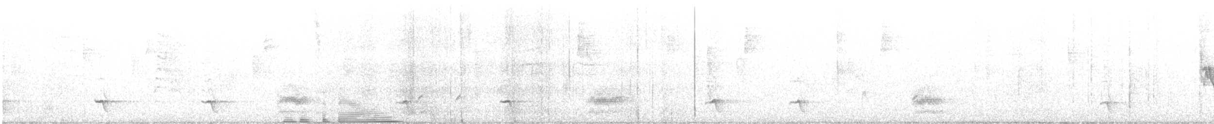 new world oriole sp. - ML628153749