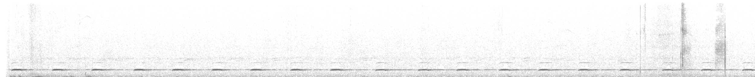 Northern Saw-whet Owl - ML628154933