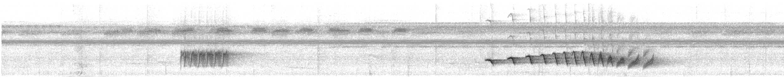 Lawrence's Thrush - ML628155977