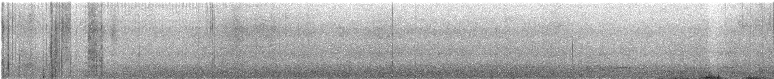 Black Scoter - ML628156987