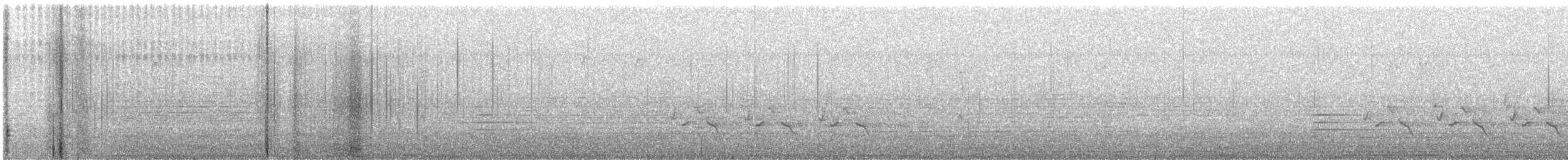 Carolina Wren - ML628156997