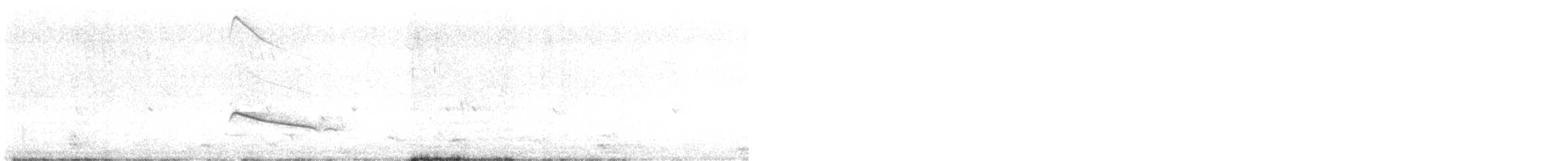Coucou éclatant (plagosus) - ML628158301