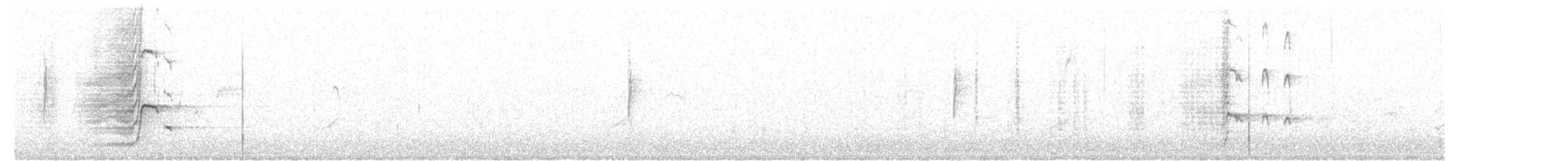 Great-tailed Grackle - ML628160184