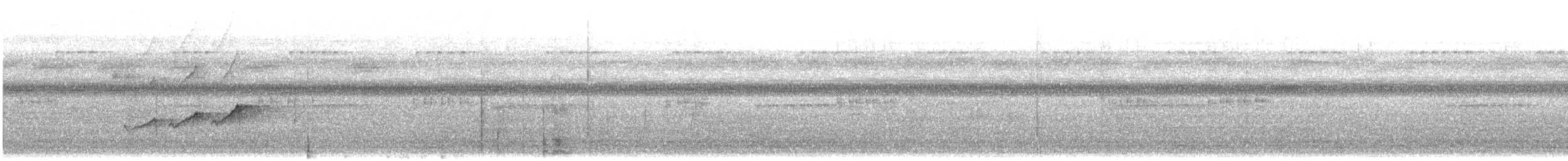 Wedge-billed Woodcreeper - ML628160786