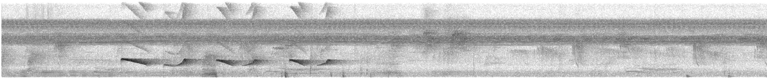 Varzea Schiffornis - ML628161326