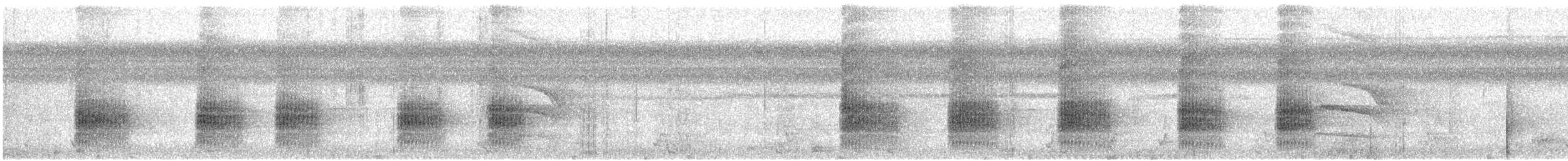 Black-capped Donacobius - ML628161697