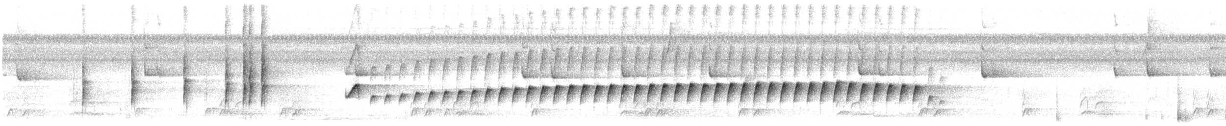 Silvered Antbird - ML628162553