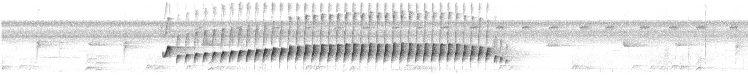 Silvered Antbird - ML628162902