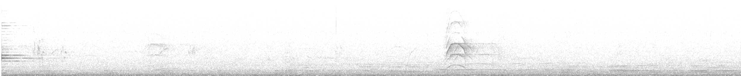 Mangrove Swallow - ML628163554